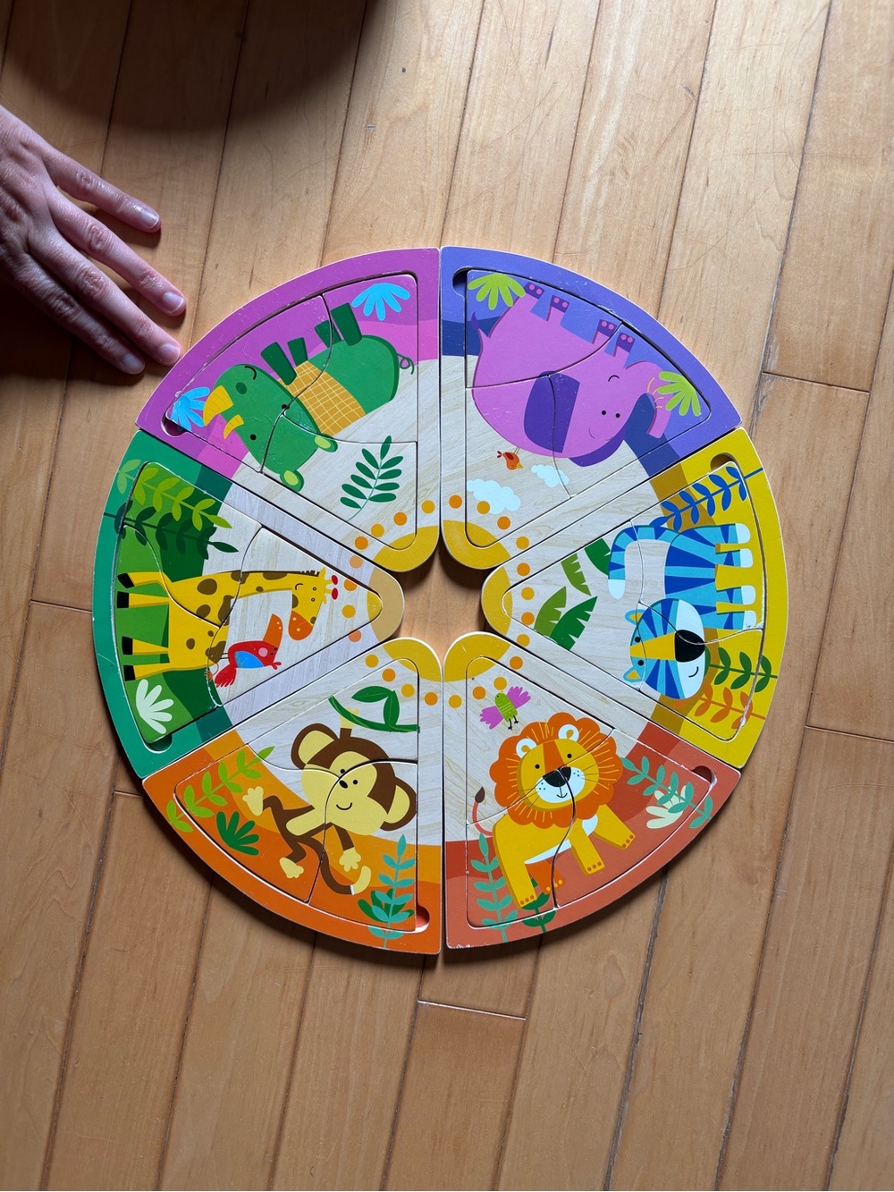 Colorful Jungle Animal Wooden Puzzle pizza pie